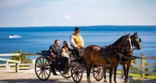 A newly married couple in a horse-drawn carriage