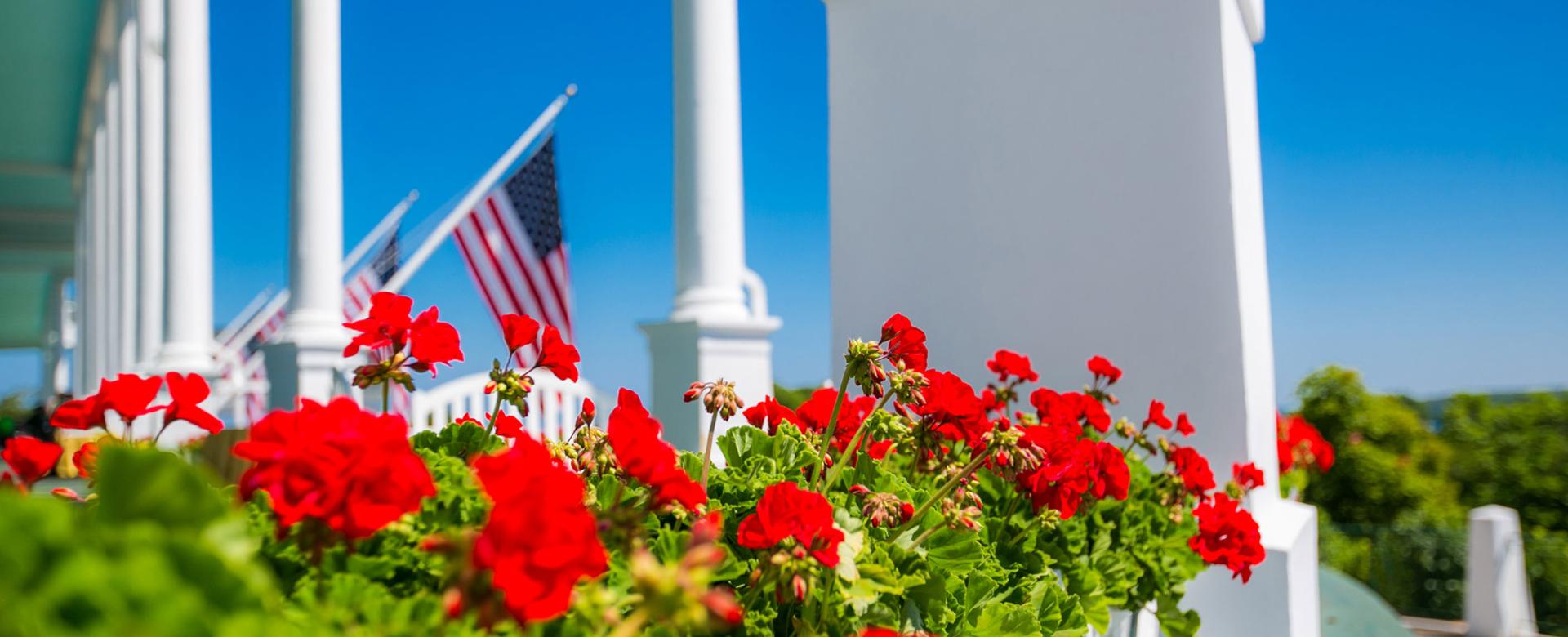 Flowers on the edge of the porch