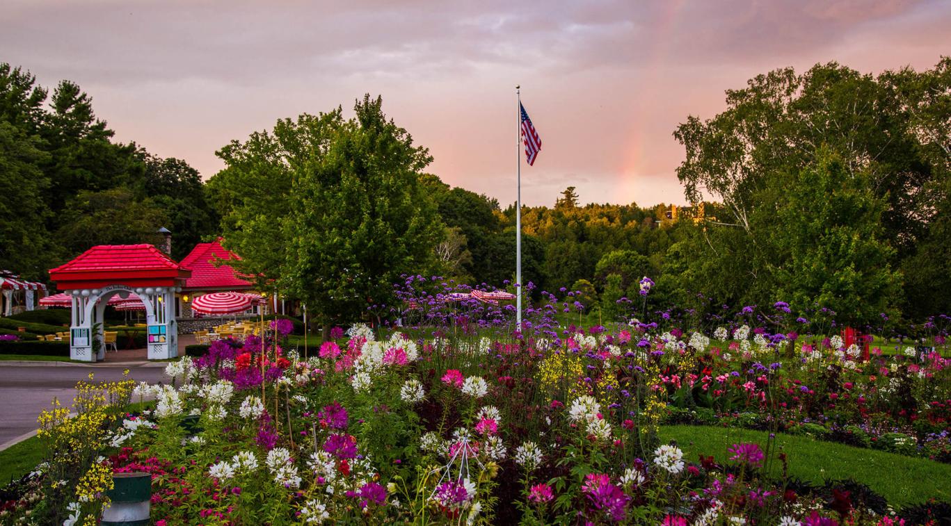 A garden landscape