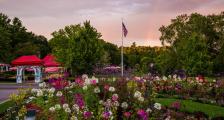 A garden landscape