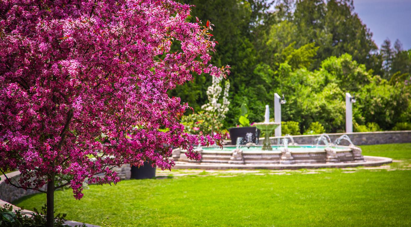 A large water fountain in a garden