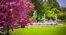 A large water fountain in a garden