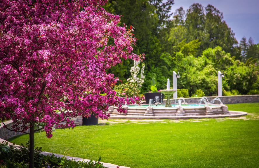 A large water fountain in a garden