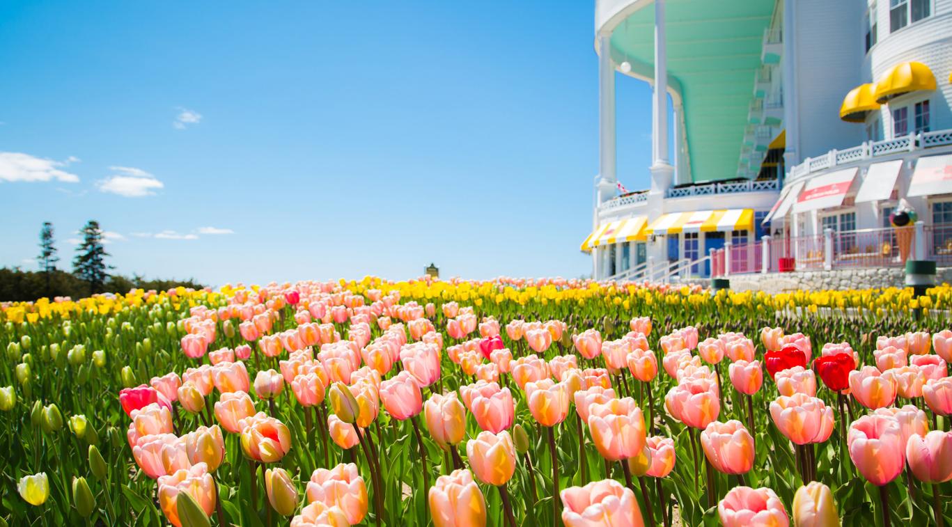 A flower garden in front of the hotel