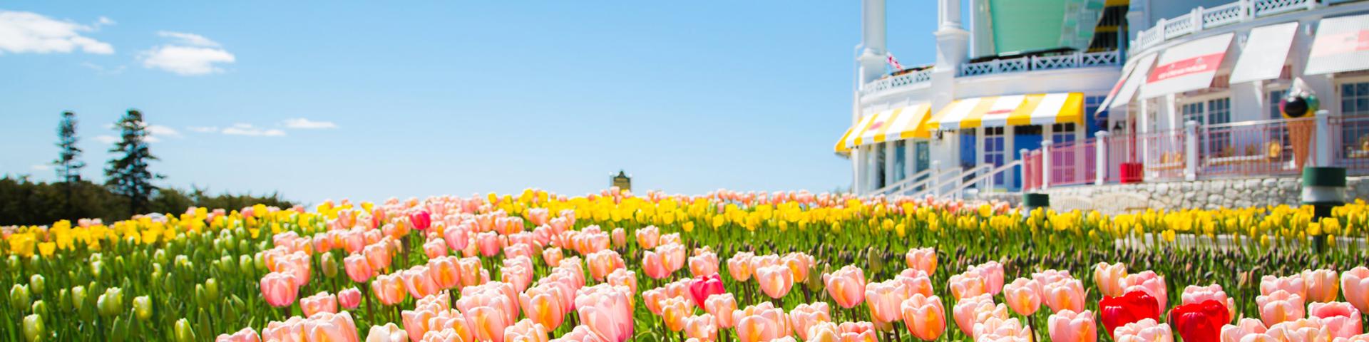 A flower garden in front of the hotel