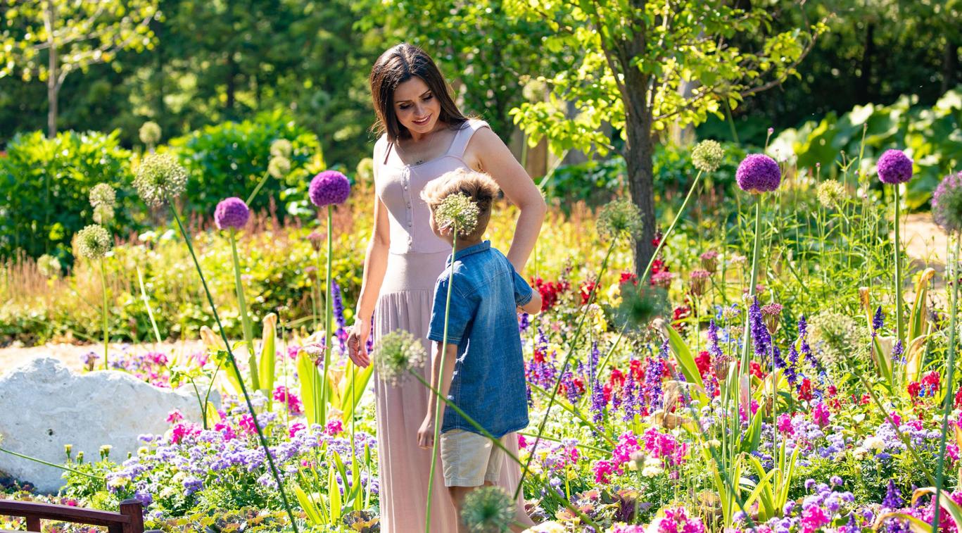 Gardens at the Grand Hotel