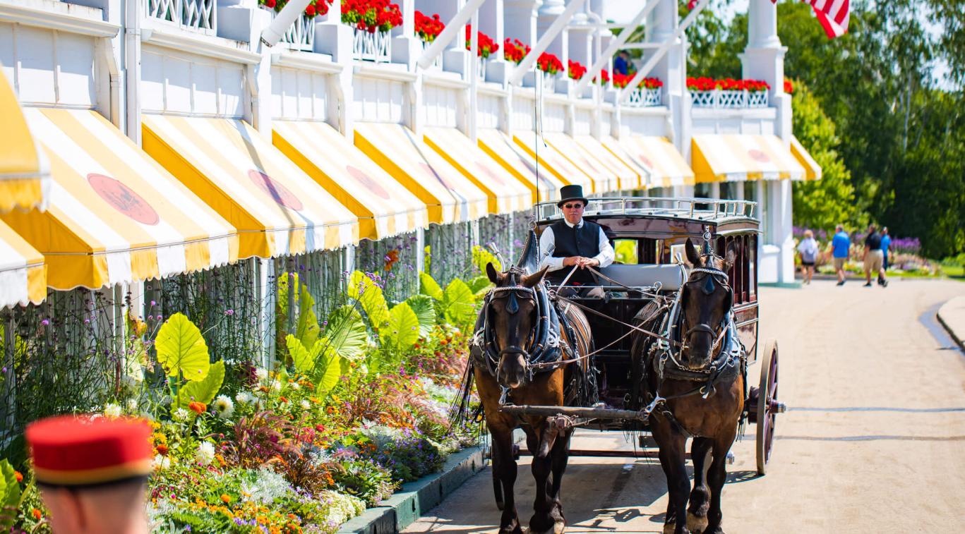 A horse-drawn carriage on the street