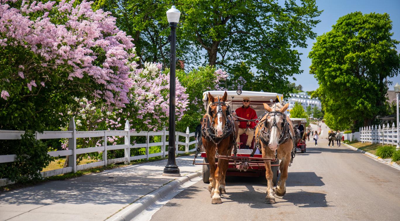 Horse Carriage