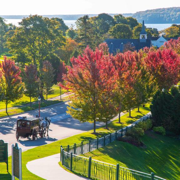 Celebrate Fall Savings