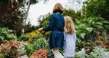 gardens at the grand hotel