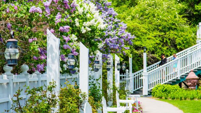 A nice path with benches and lilacs
