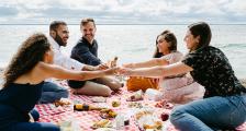 guests enjoying a picnic