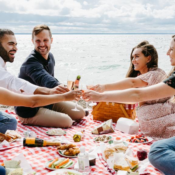 guests enjoying a picnic