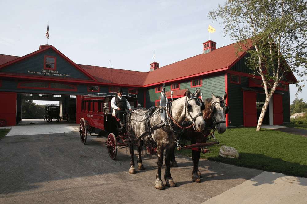 Horse drawn carriage at the stables