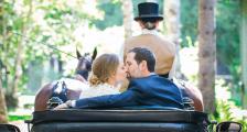 Bride and Groom kissing in the back of a horse drawn carriage