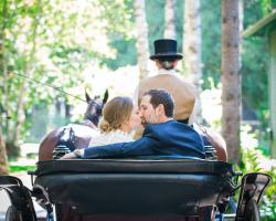 Bride and Groom kissing in the back of a horse drawn carriage