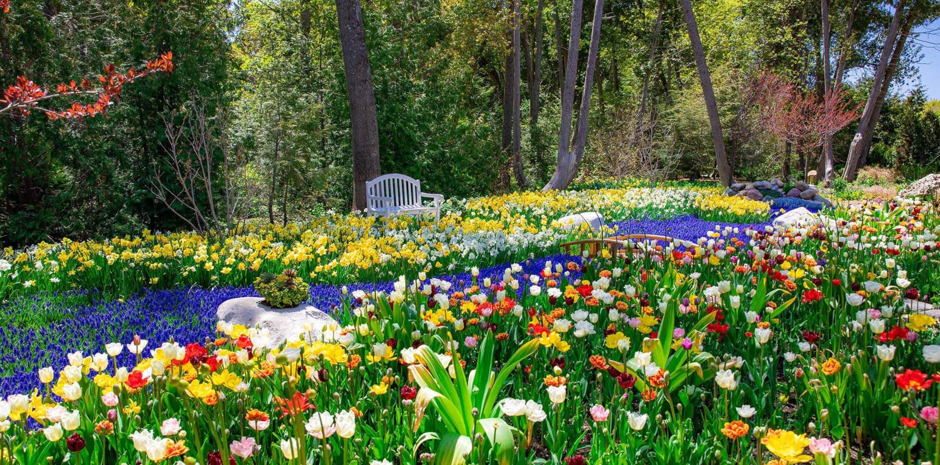 Garden Mackinac Island