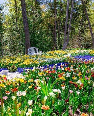 Garden Mackinac Island