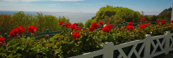 Geraniums next to Grand Hotel porch