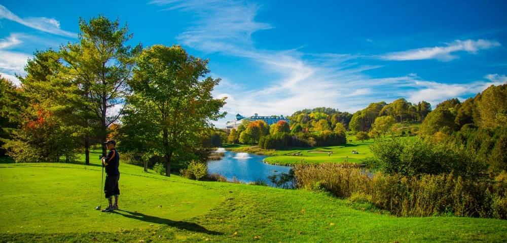 Fall Michigan Golf Live Package