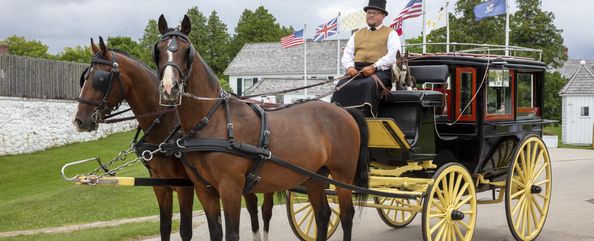 Meet the Grand Hotel Horses and Coachmen 2