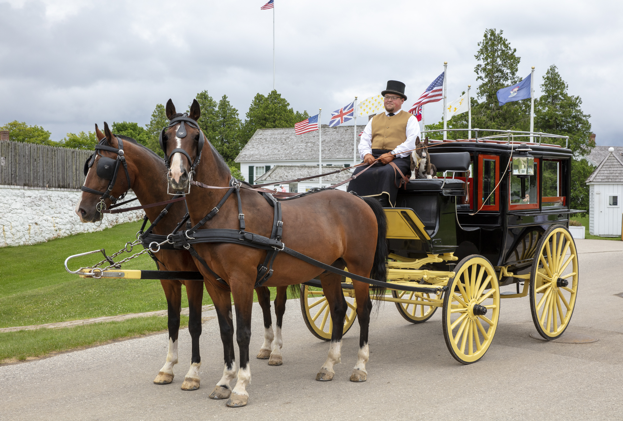 Meet the Grand Hotel Horses and Coachmen 2