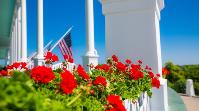 flowers at the grand hotel