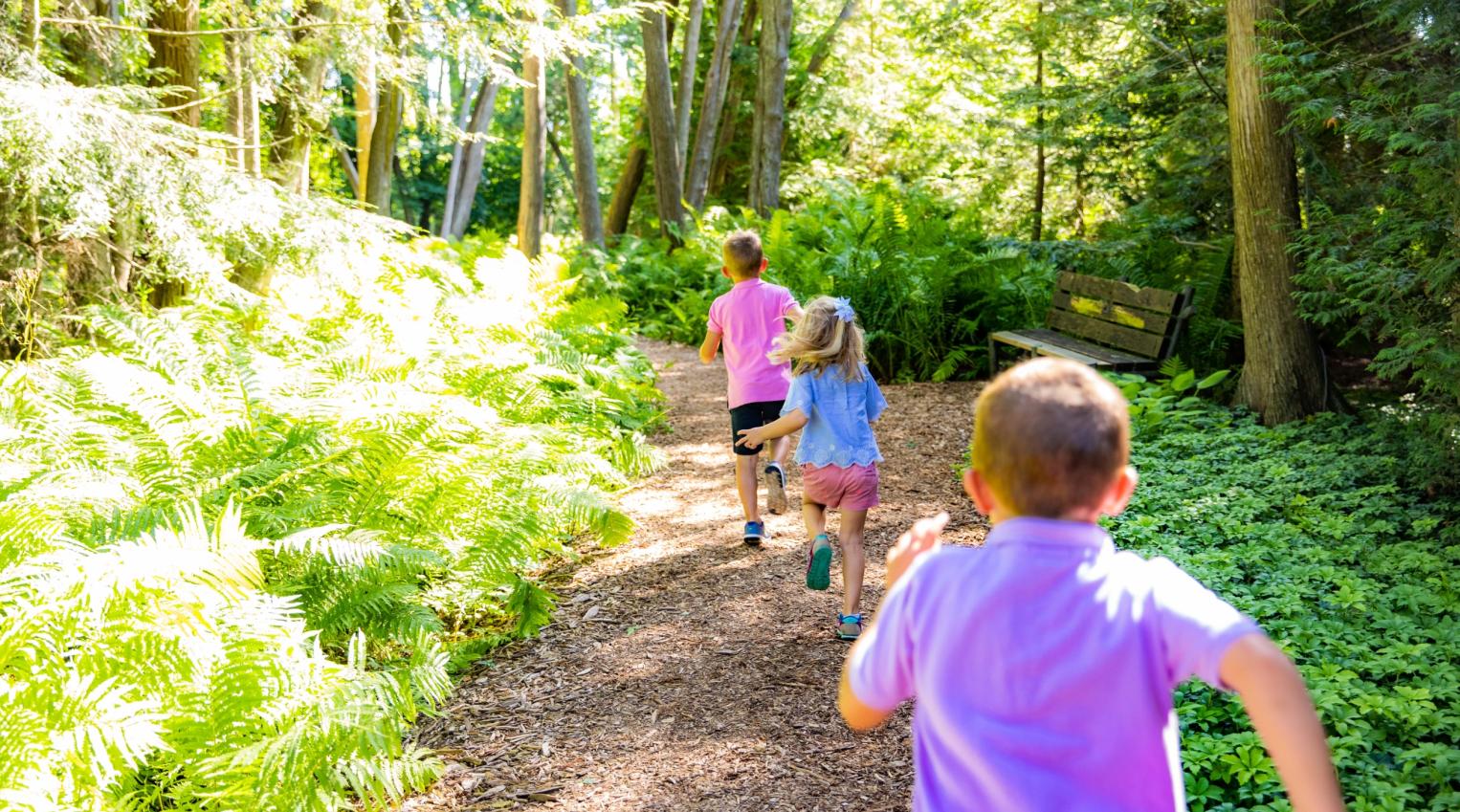 Woodlands Activity Center Opens for Bicycle Rentals, BMX Track and